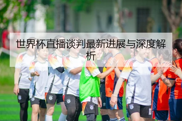 世界杯直播谈判最新进展与深度解析